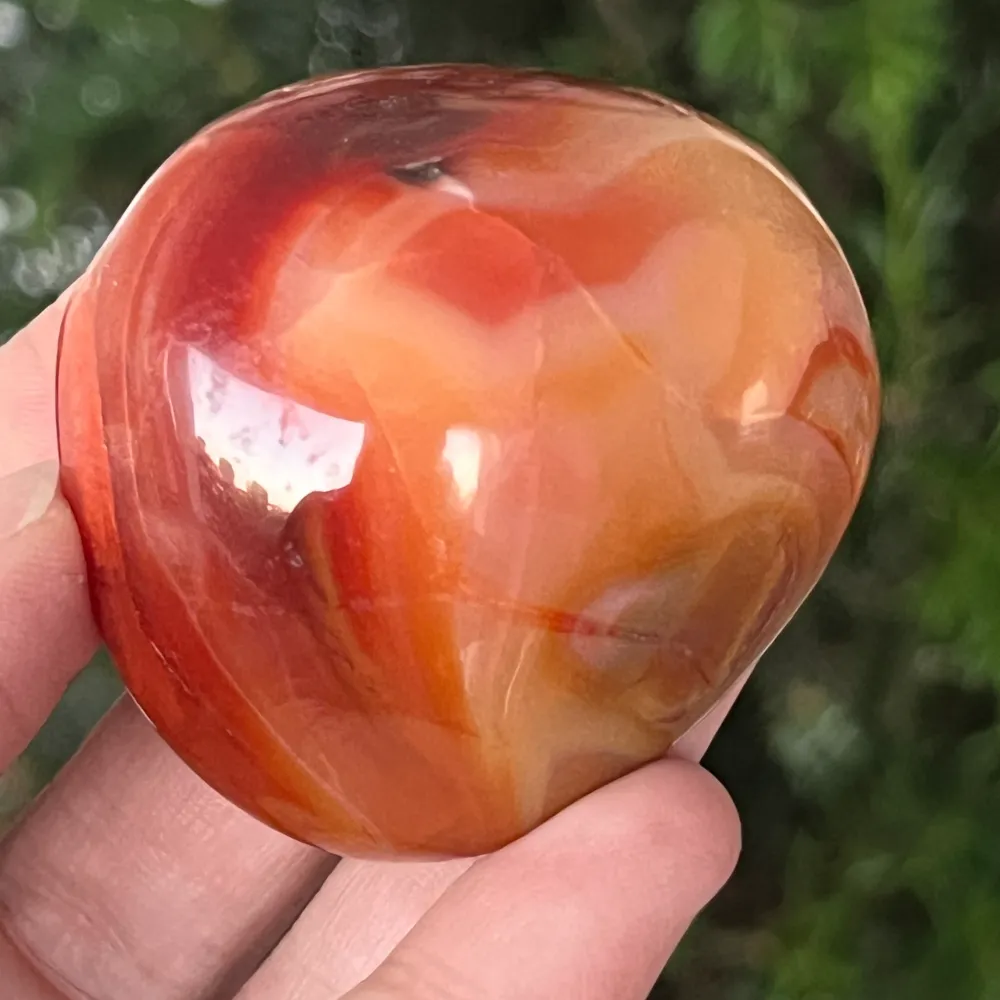 Palmstone karneol m20