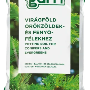 Garri Virágföld Örökzöld És Fenyőfélék