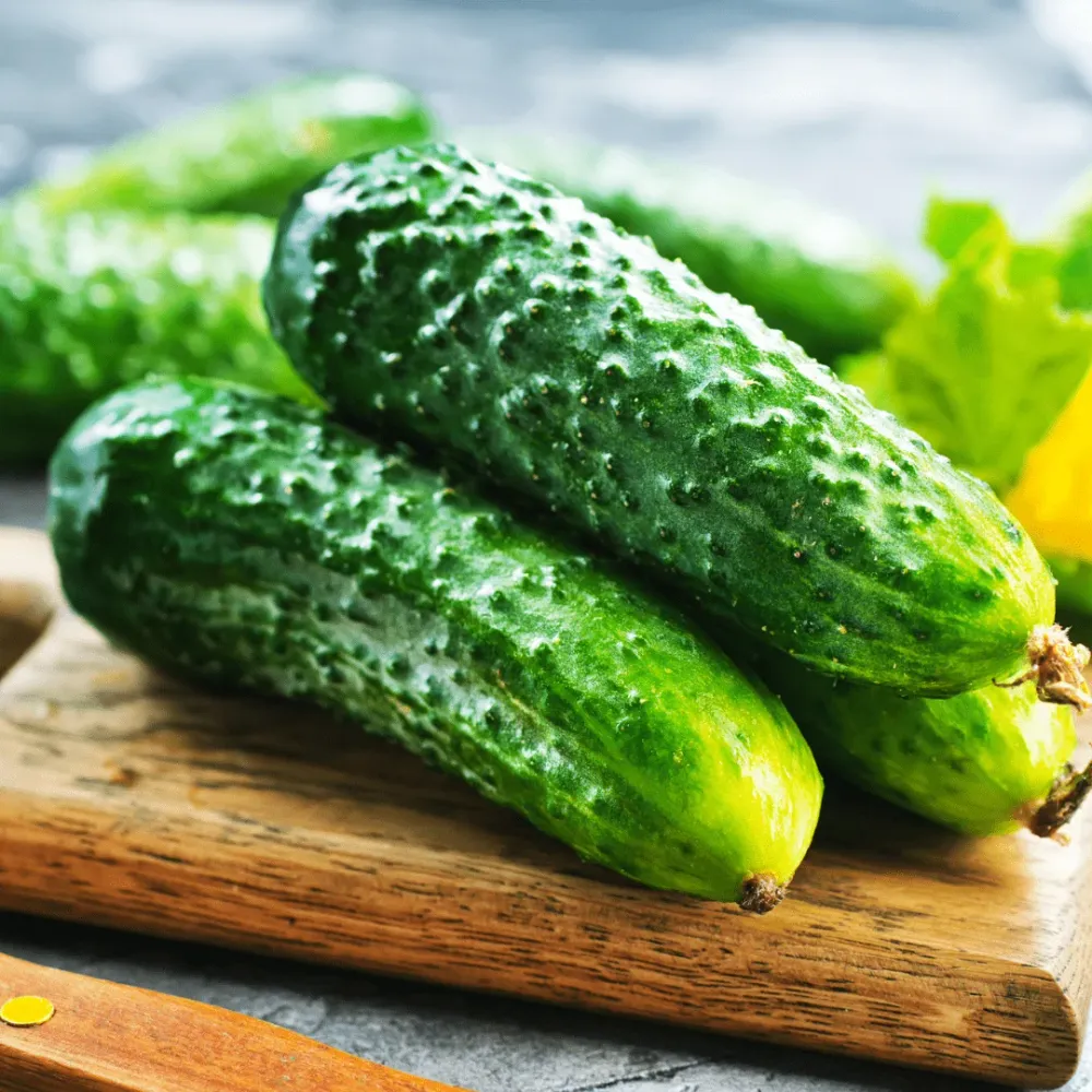 Uborka - Kecskeméti Keseredésmentes vetőmag