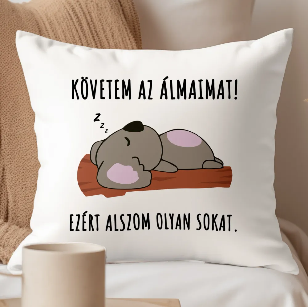 Követem az álmaimat párna