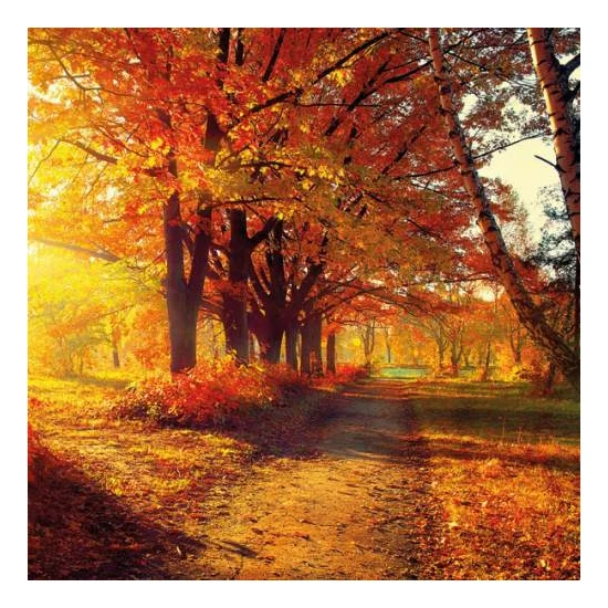 Autumn Park papírszalvéta