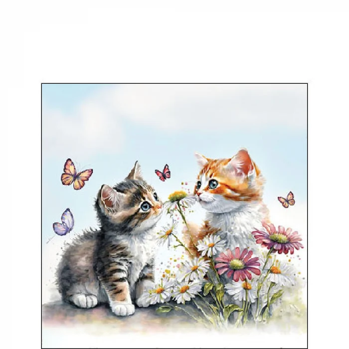 Cicás papírszalvéta 25x25 cm 20 db-os Kittens flower field
