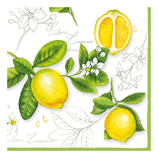 Citrus Limonum papírszalvéta