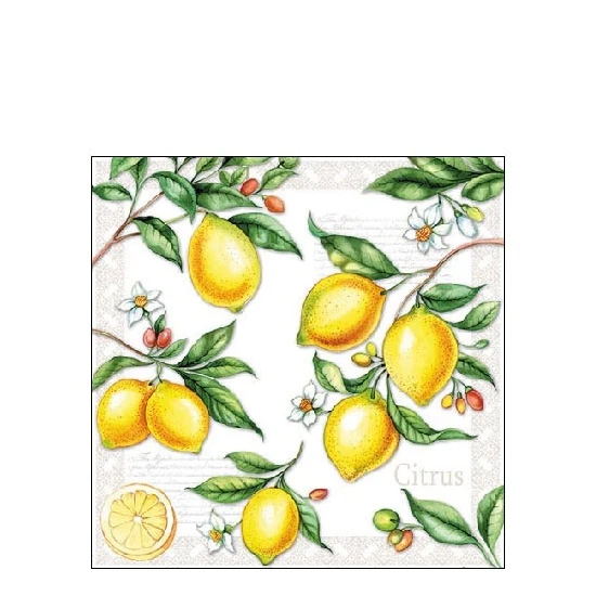 Citrus papírszalvéta