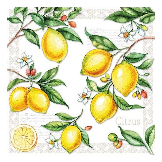 Citrus papírszalvéta