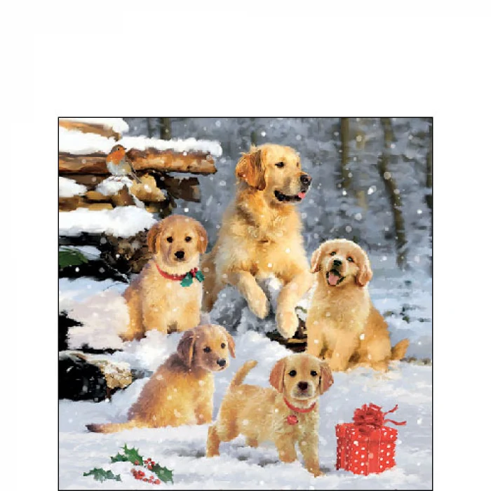 Golden retriever kölykök karácsonyi papírszalvéta 25x25 cm 20 db-os