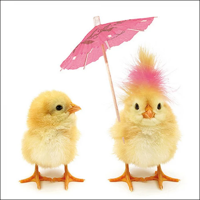 Húsvéti papírszalvéta 33x33 cm Easter Chicks csibékkel
