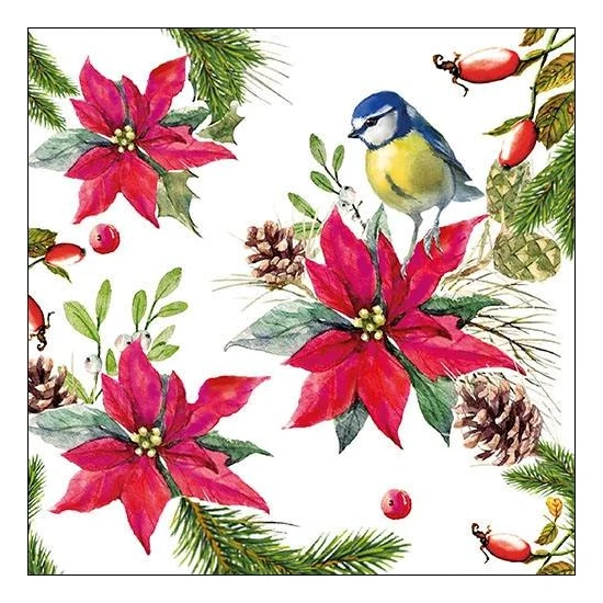Karácsonyi papírszalvéta Bird on Poinsettia white