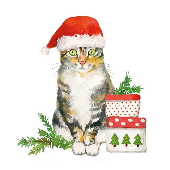 Karácsonyi papírszalvéta cica sapkában Christmas Kitty