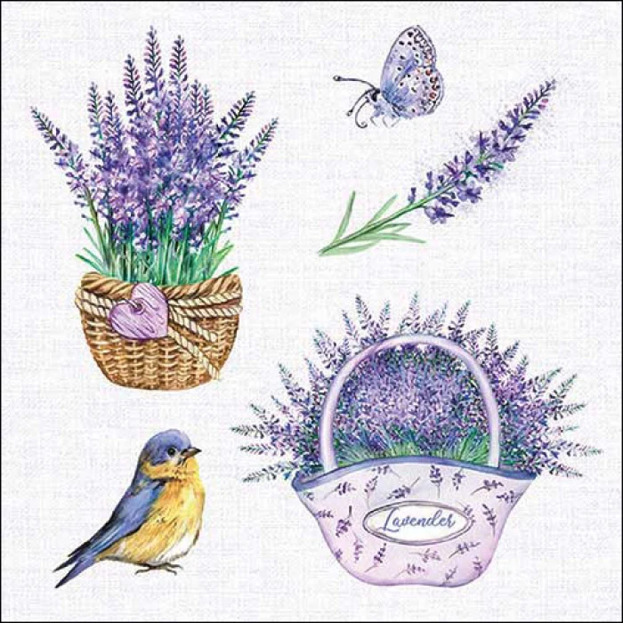 Levendula kosaras papírszalvéta 33x33 cm 20 db-os