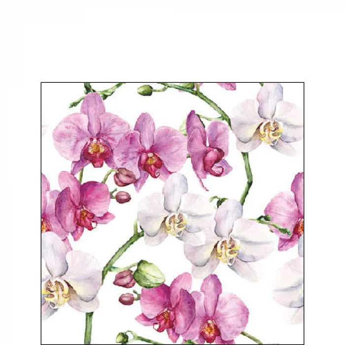 Orchidea virágos három rétegű koktél papírszalvéta Elegant orchids white
