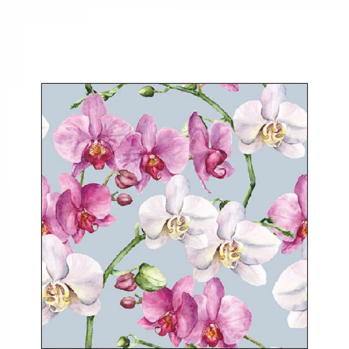 Orchidea virágos három rétegű koktél papírszalvéta Elegant orchids blue