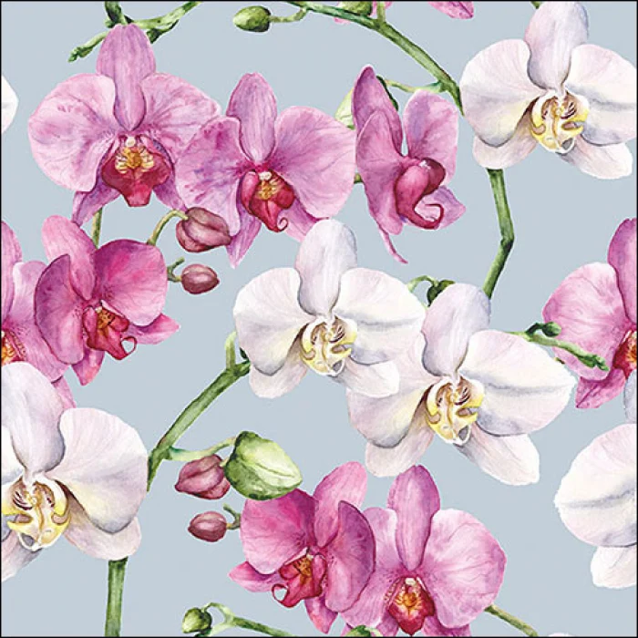 Orchidea virágos három rétegű papírszalvéta Elegant orchids blue 33x33 cm
