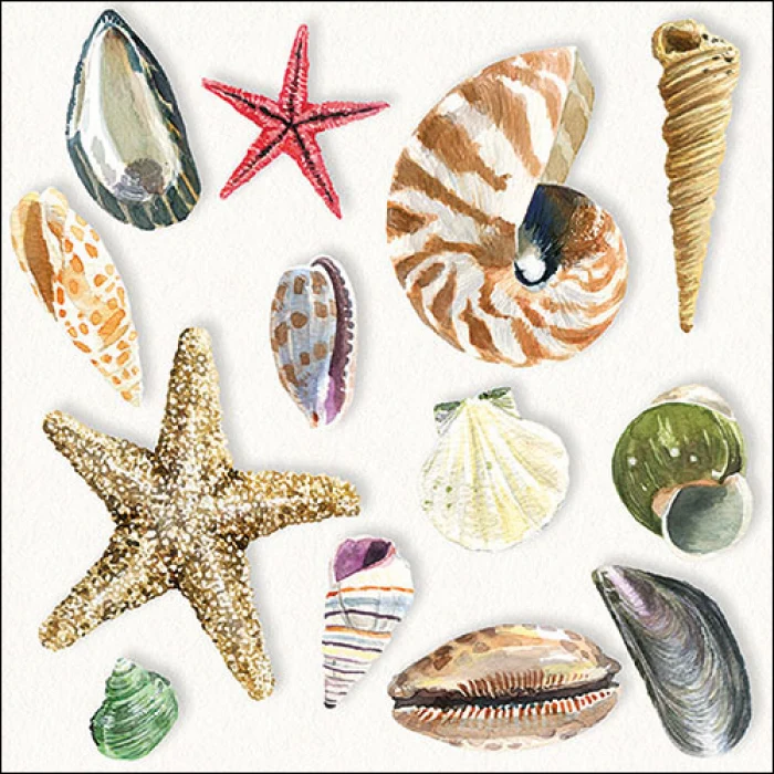 Papírszalvéta 33x33 cm 20 db-os Shells