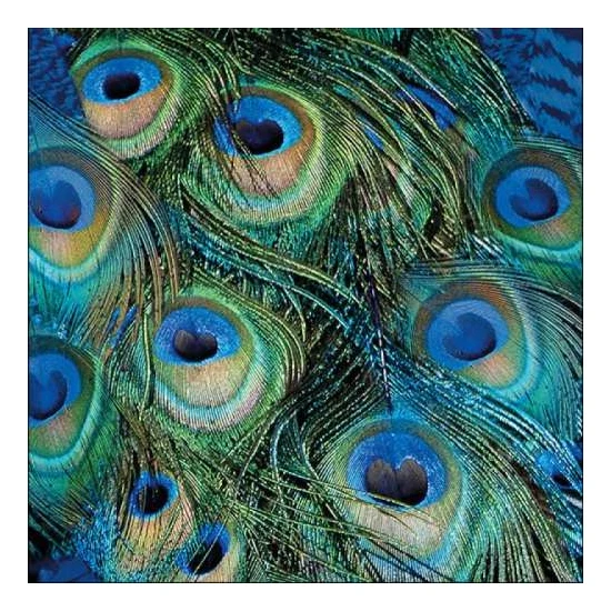 Pávatollak papírszalvéta 33x33cm - Peacock Feathers