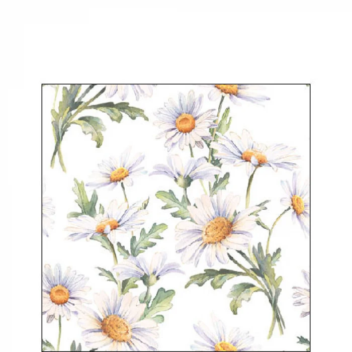 Százszorszép virágos háromrétegű papírszalvéta 25x25 cm 20 db Beautiful daisies white