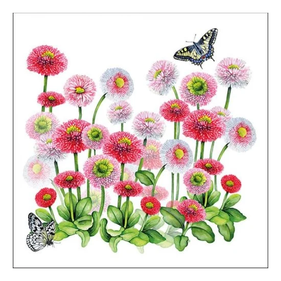 Százszorszépes papírszalvéta Bellis 33x33cm