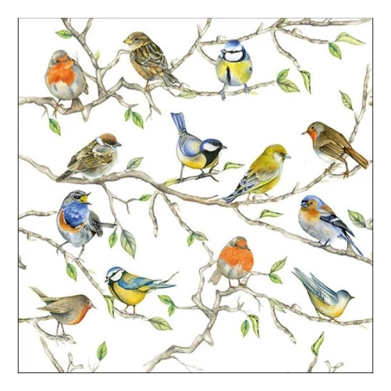 Tavaszi madaras papírszalvéta, 33x33cm - Birds Meeting