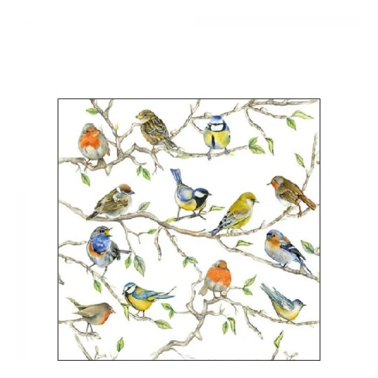 Tavaszi madaras papírszalvéta Birds Meeting kicsi 25x25 cm