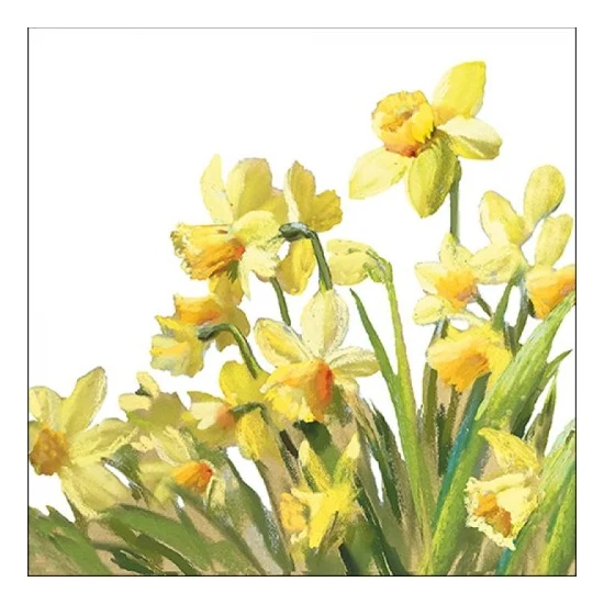 Tavaszi nárcisz virágos papírszalvéta Golden Daffodils 33x33cm