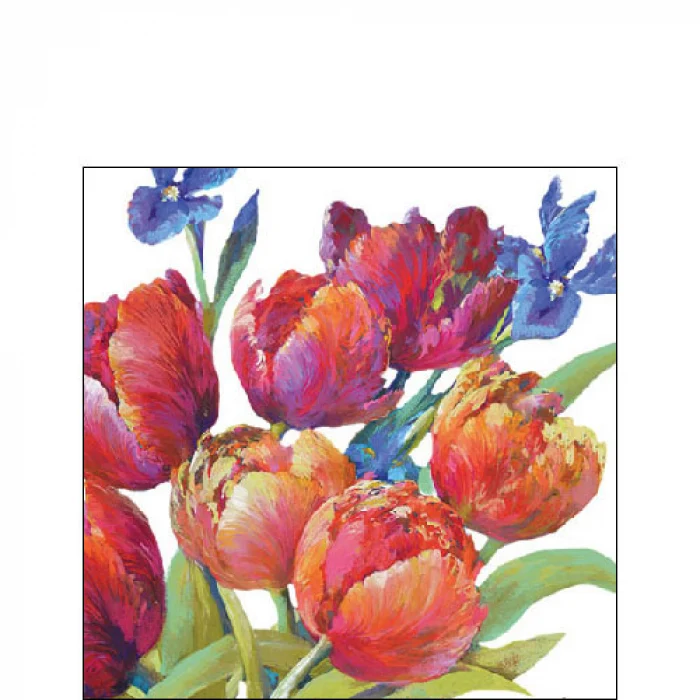 Tavaszi tulipános koktél papírszalvéta 25x25 cm Tulips joy