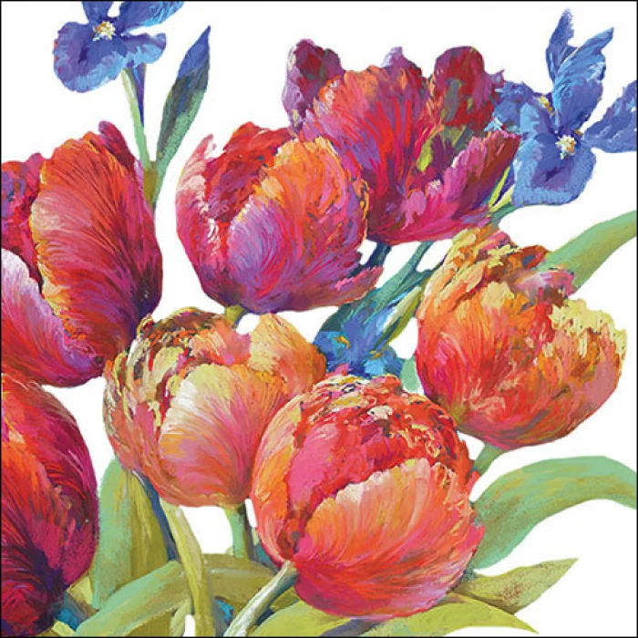 Tavaszi tulipános papírszalvéta 33x33 cm Tulips joy