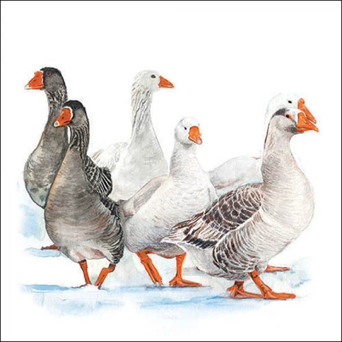 Téli libák papírszalvéta 33x33 cm 20 db-os