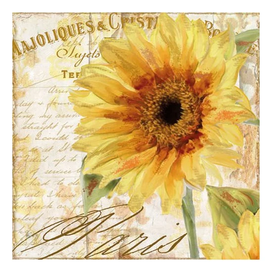 Tournesol papírszalvéta
