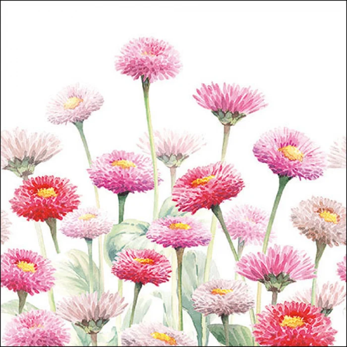 Virágos papírszalvéta 33x33cm Painted Bellis