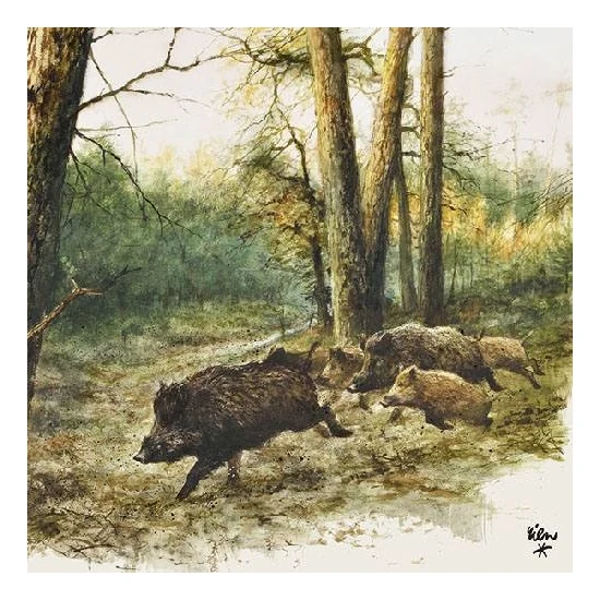 Wild Boars Woods papírszalvéta