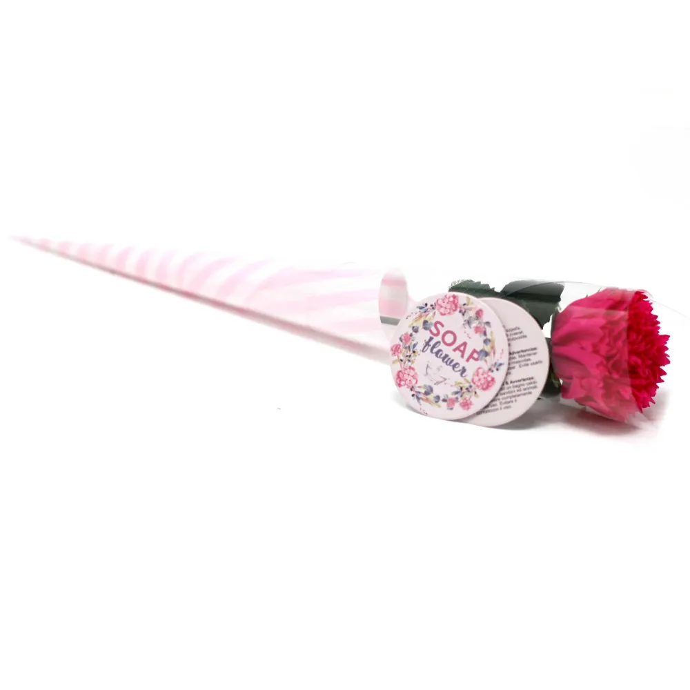 Szappanvirág Kis Szegfű