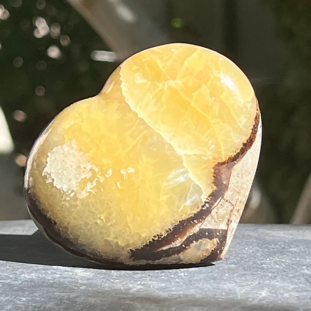 Heart Septaria XL modell 5