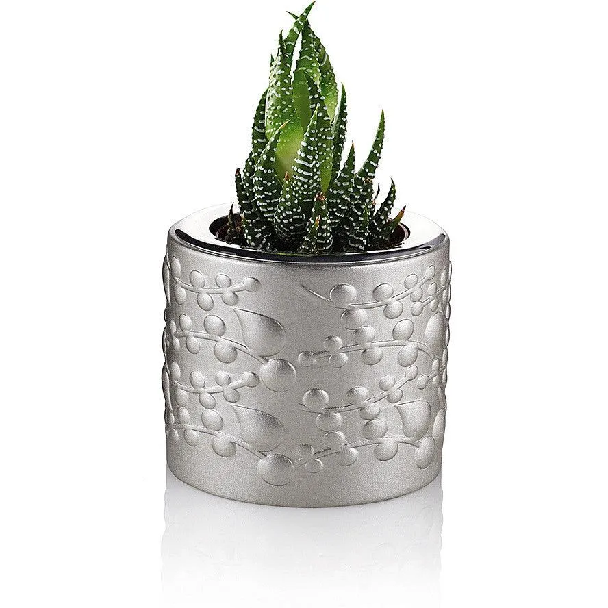 Ottaviani szafari térkép 7,5 cm magas, 6,7 cm gyanta homok 31471SP