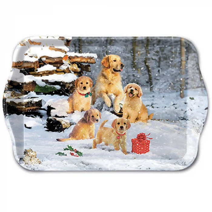 Golden retriever kölykök karácsonyi műanyag kis tálca 13x21 cm