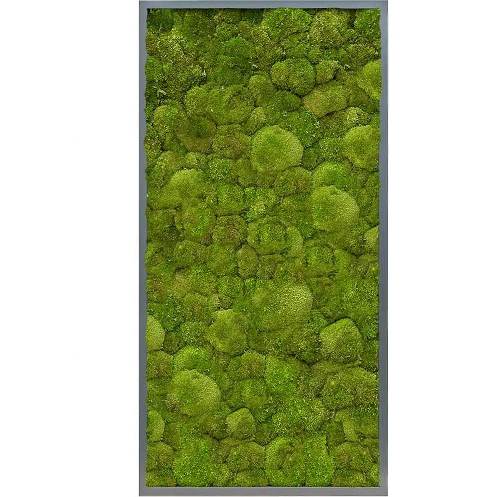 MUSCUS gömbmoha növényfal panel 120 x 60 cm
