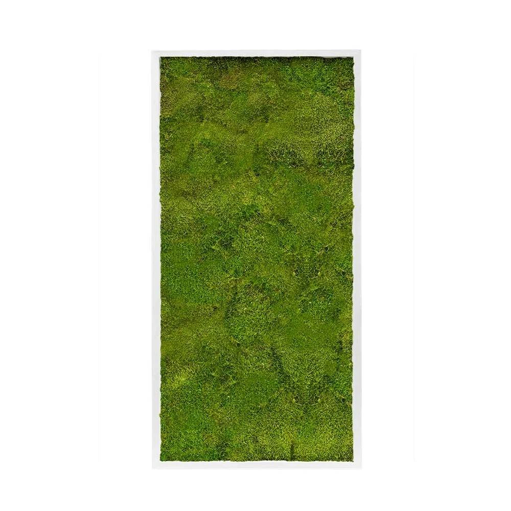 MUSCUS lapos moha növényfal panel 120 x 60 cm