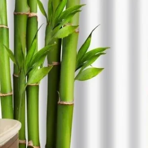 Zuhanyfüggöny - BAMBOO CANE - Impregnált textil - 180 x 200 cm